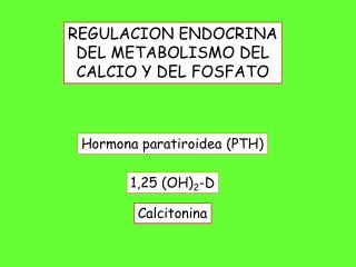 Hormona paratiroidea (PTH)