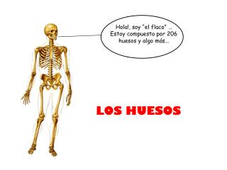 LOS HUESOS