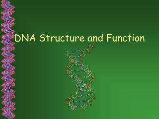 DNA Structure and Function