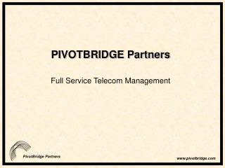PIVOTBRIDGE Partners