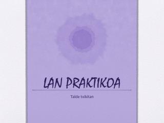 LAN PRAKTIKOA