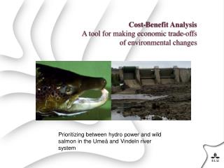 Cost-Benefit Analysis A tool for making economic trade-offs of environmental changes