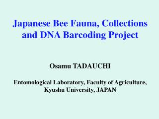 1 Database Files of Japanese and Asian Insects