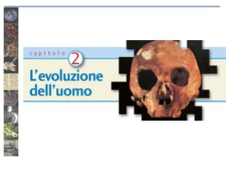 Homo sapiens : una specie unica?