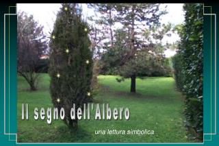 Il segno dell'Albero