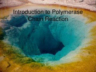 Introduction to Polymerase Chain Reaction
