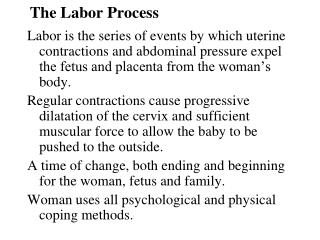 The Labor Process