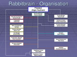 Rabbitbrain - Organisation