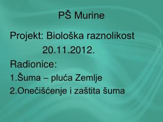PŠ Murine