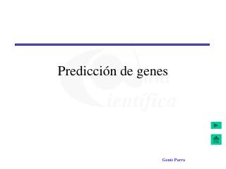 Predicción de genes