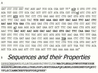Sequences and their Properties