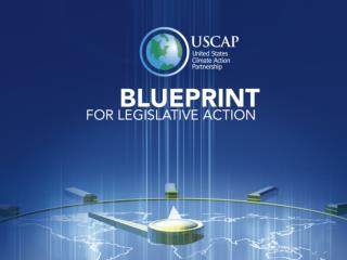 Tom Dower , Vice President Lighthouse Consulting Group USCAP Political Outreach Coordinators