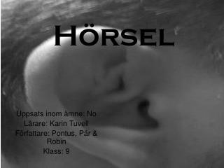 Hörsel