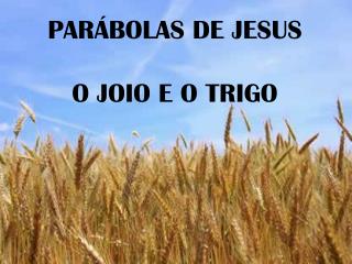 PARÁBOLAS DE JESUS O JOIO E O TRIGO