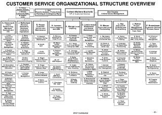 CUSTOMER SERVICE ORGANIZATIONAL STRUCTURE OVERVIEW