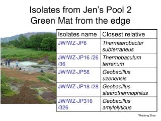 Isolates from Jen’s Pool 2 Green Mat from the edge