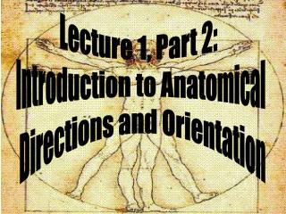 Lecture 1, Part 2: Introduction to Anatomical Directions and Orientation