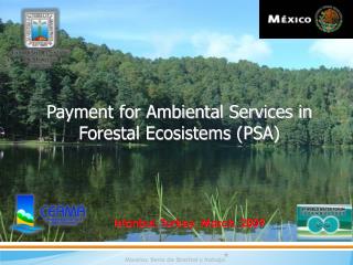 Payment for Ambiental Services in Forestal Ecosistems (PSA)