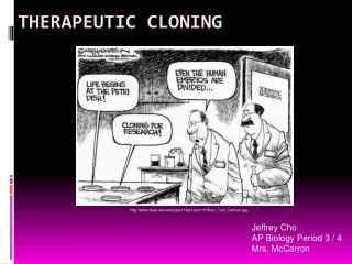 Therapeutic Cloning