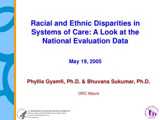 Racial and Ethnic Disparities in Systems of Care: A Look at the National Evaluation Data
