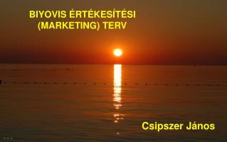 BIYOVIS ÉRTÉKESÍTÉSI (MARKETING) TERV