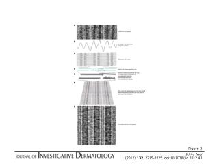 Ichiro Iwai (2012) 132 , 2215-2225. doi:10.1038/jid.2012.43