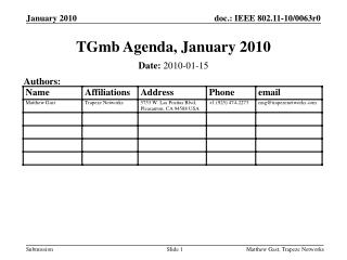 TGmb Agenda, January 2010