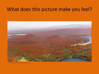 What does this picture make you feel?