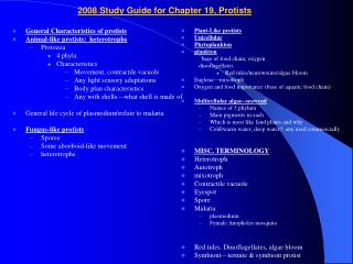 2008 Study Guide for Chapter 19, Protists