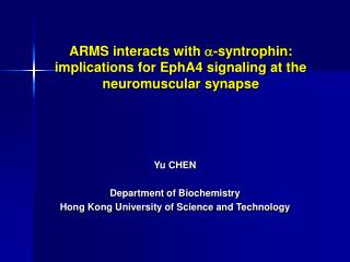 ARMS interacts with a -syntrophin: implications for EphA4 signaling at the neuromuscular synapse