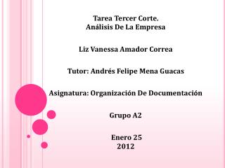 Tarea Tercer Corte. An á lisis De La Empresa Liz Vanessa Amador Correa