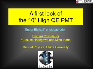 A first look of the 10” High QE PMT