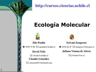 Ecología Molecular