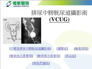 排尿中膀胱尿道攝影術 (VCUG)