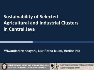 Sustainability of Selected Agricultural and Industrial Clusters in Central Java