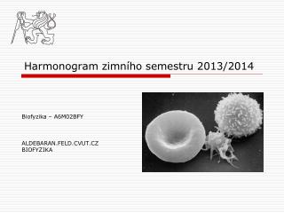 Harmonogram zimního semestru 2013/2014