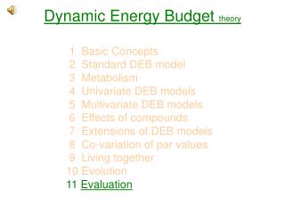 Dynamic Energy Budget theory