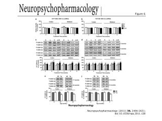 Neuropsychopharmacology (2011) 36, 2406-2421; doi:10.1038/npp.2011.128
