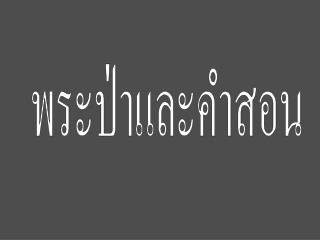พระป่าและคำสอน