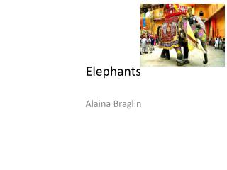 E lephants