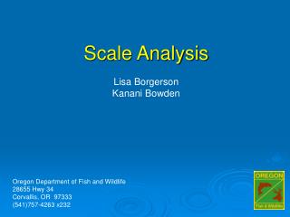 Scale Analysis Lisa Borgerson Kanani Bowden
