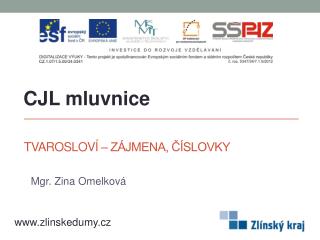 Tvarosloví – zájmena, číslovky