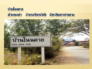 บ้านโนนตาล ตำบลมะค่า อำเภอกันทรวิชัย จังหวัดมหาสารคาม