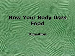 How Your Body Uses Food