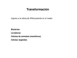 Transformaci ón