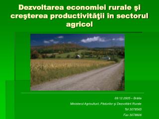 Dezvoltarea economiei rurale şi creşterea productivităţii în sectorul agricol