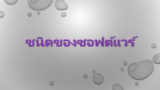 ชนิดของซอฟต์แวร์