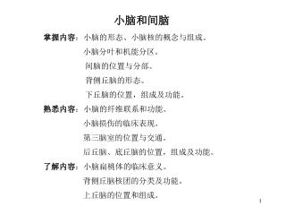 掌握内容 ：小脑的形态、小脑核的概念与组成。 小脑分叶和机能分区。 间脑的位置与分部。