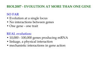 BIOL2007 - EVOLUTION AT MORE THAN ONE GENE SO FAR  Evolution at a single locus