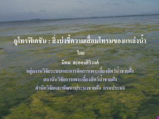 ยูโทรฟิเคชัน : สิ่งบ่งชี้ความเสื่อมโทรมของแหล่งน้ำ โดย นิคม ละอองศิริวงศ์